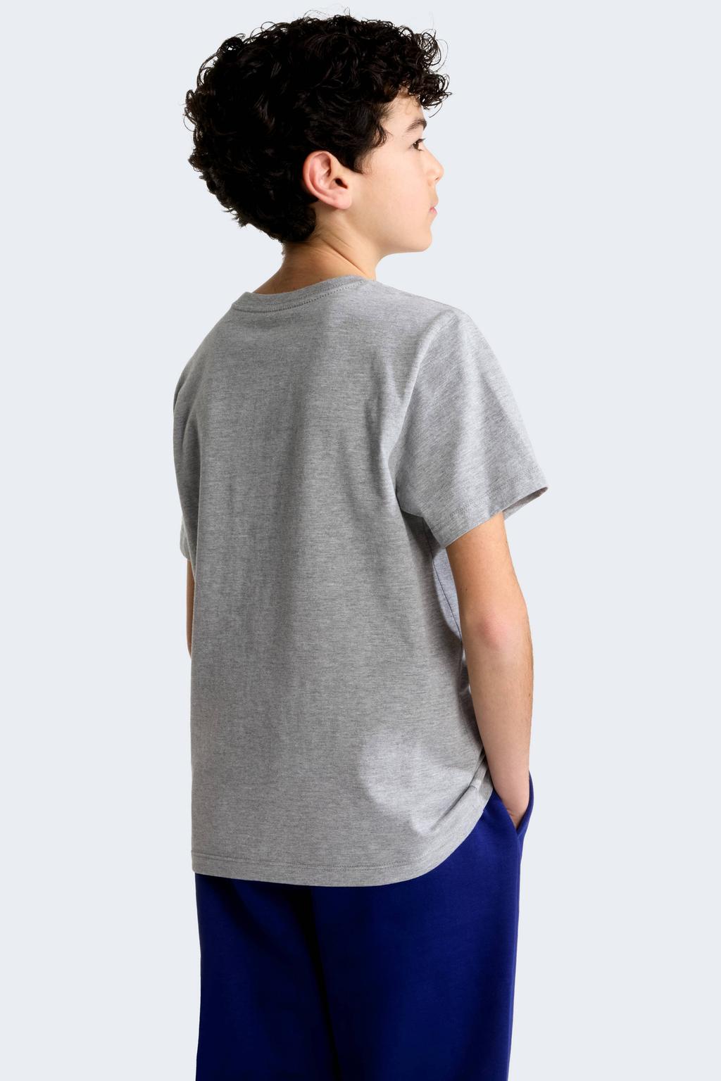 Grijze jongens en meisjes The North Face T-shirt van katoen met logo dessin, korte mouwen en ronde hals