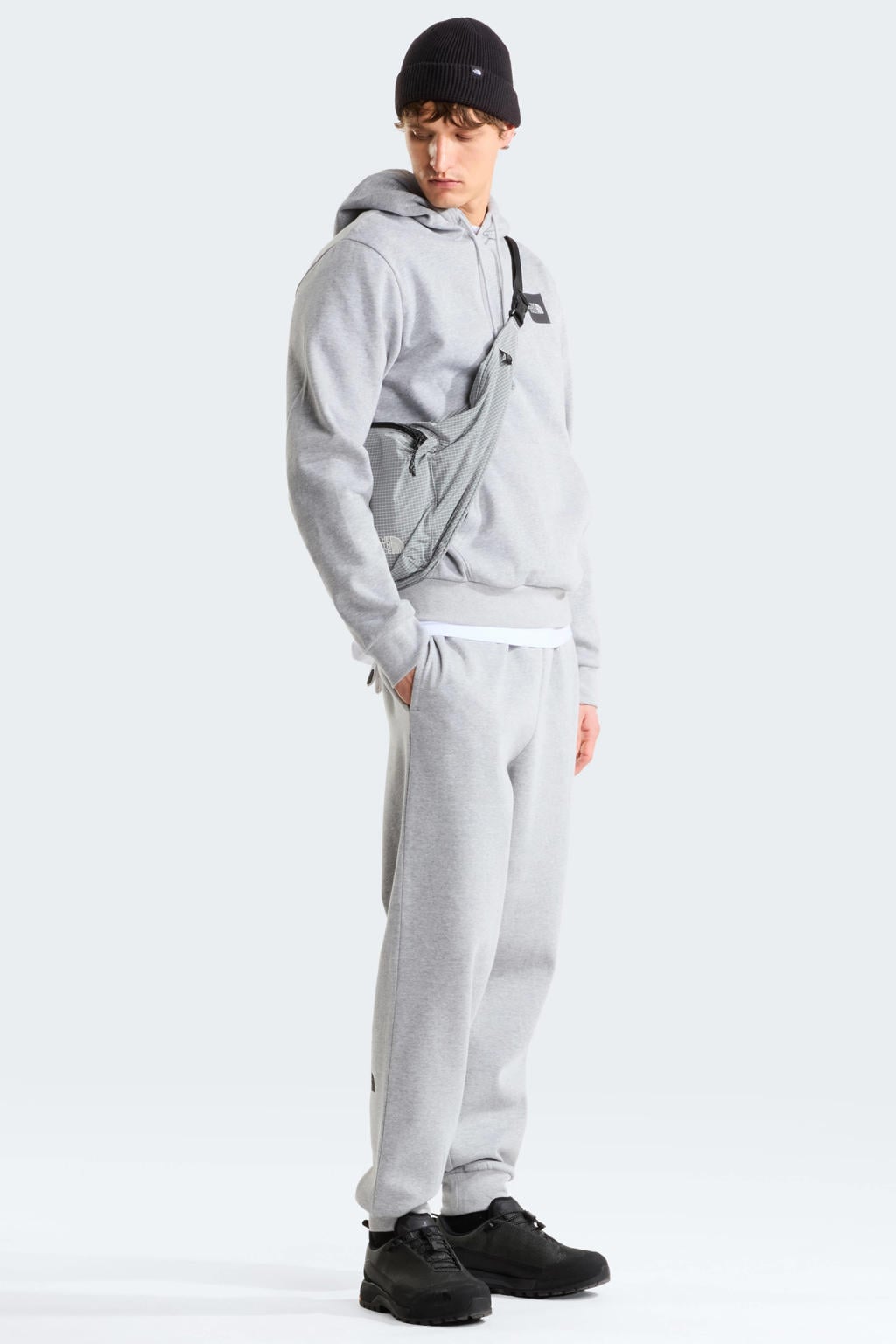 Lichtgrijze heren The North Face Box Half Dome sweat hoodie met effen, lange mouwen en capuchon