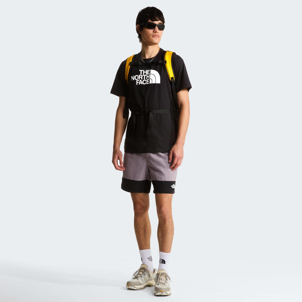 The North Face Evolution Half Dome regular fit T-shirt met print - zwart