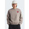 The North Face Gear Up Get Out sweater met backprint - zand