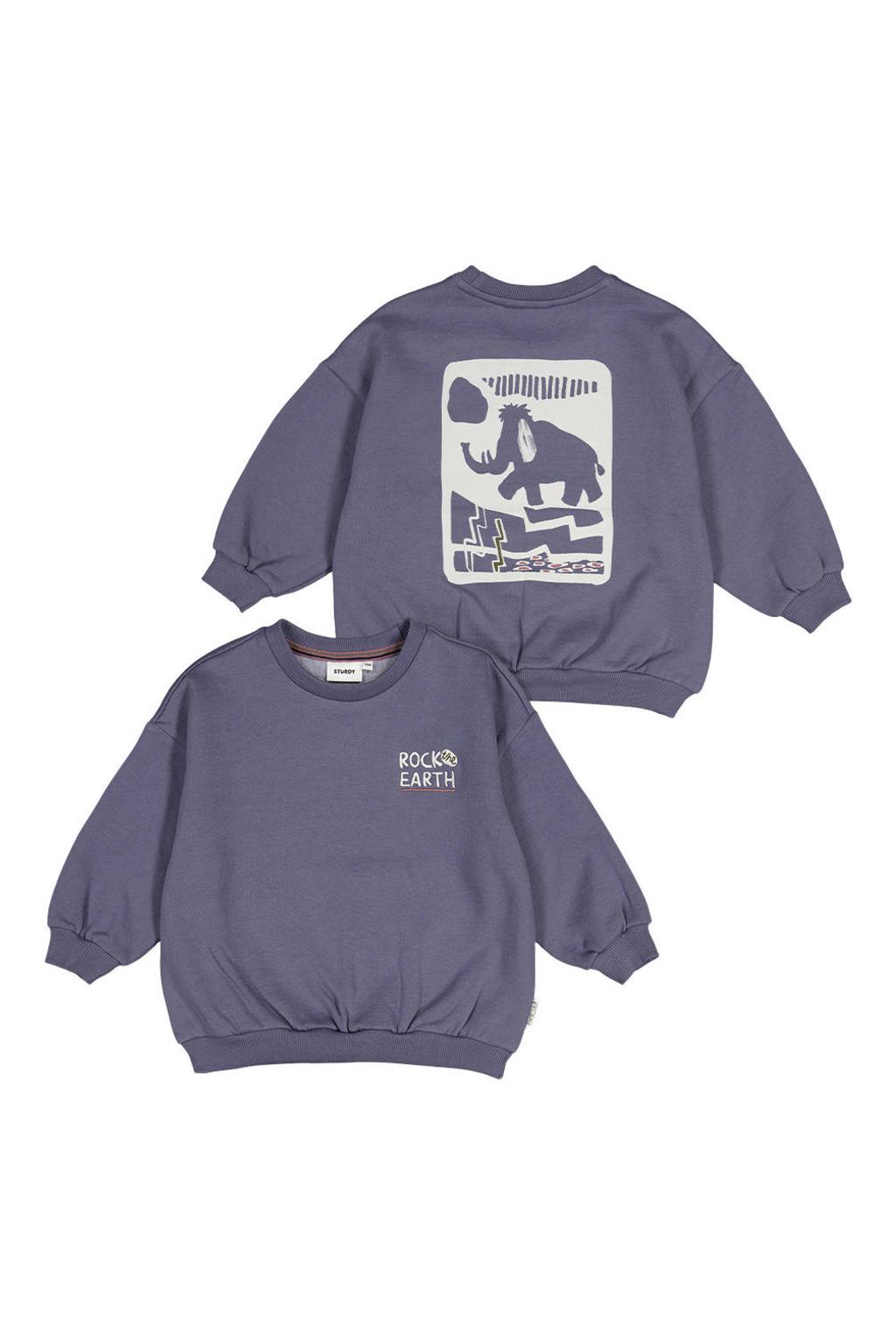 Sturdy sweater Rock the Earth - blauw