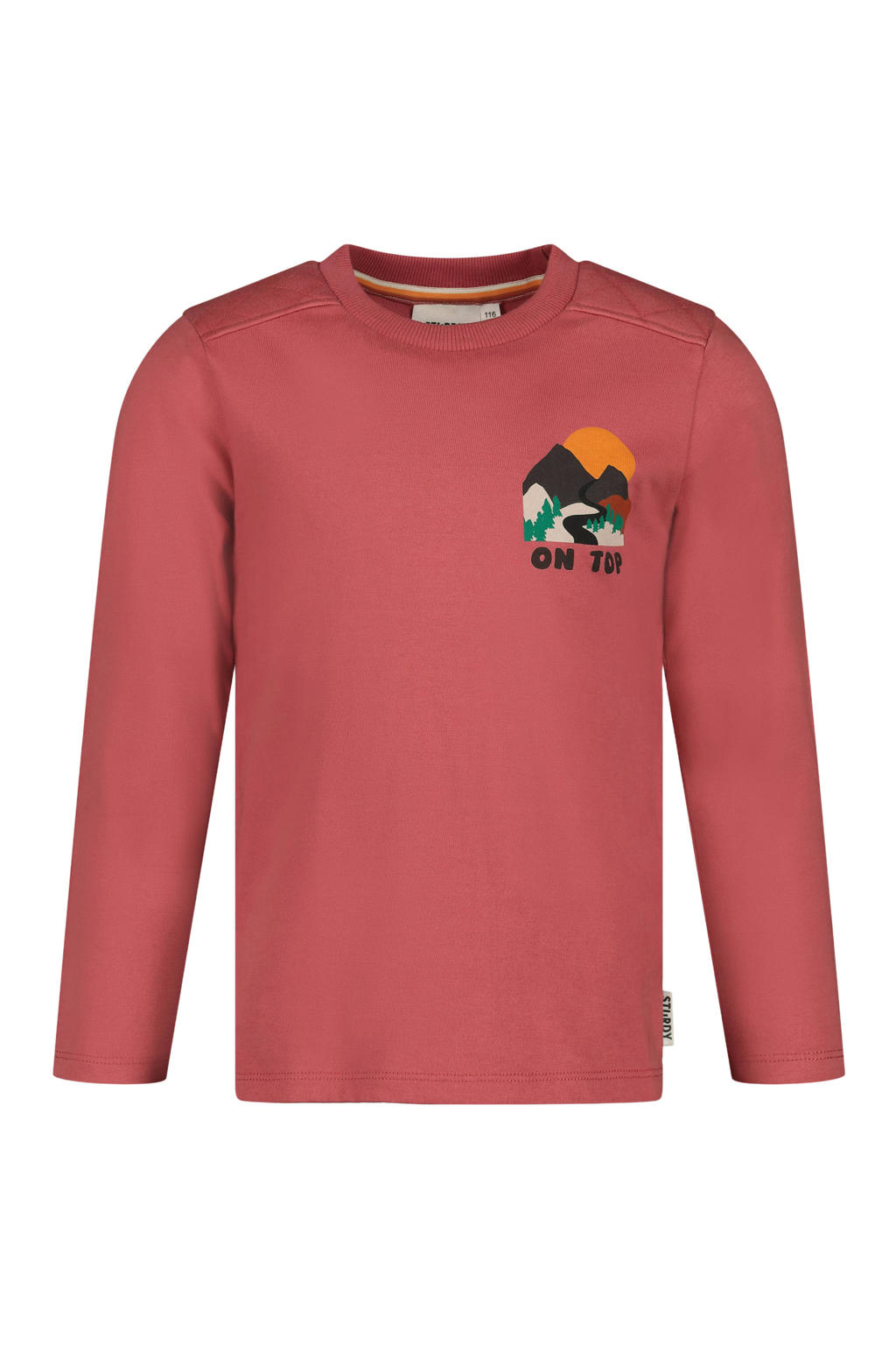 Sturdy longsleeve Mountain top oudroze
