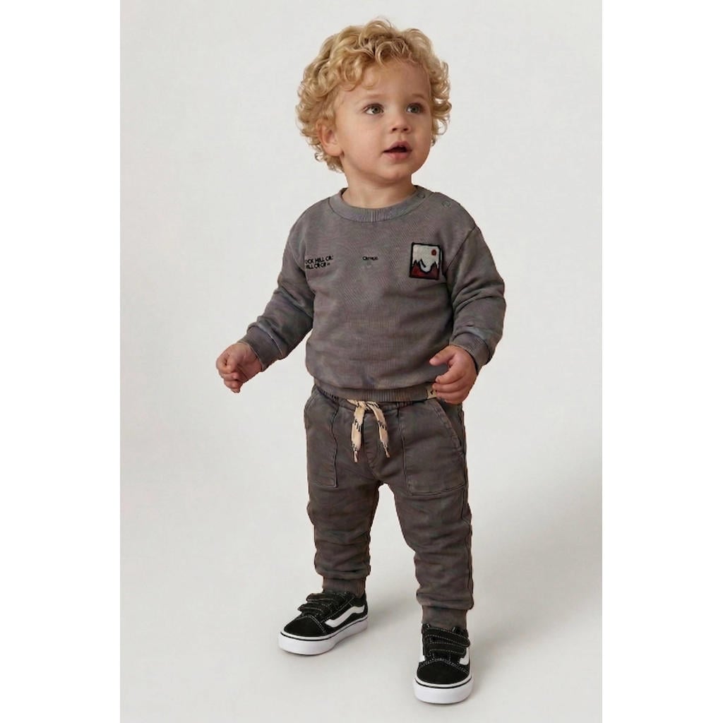 Grijze jongens Feetje sweater Mountain Top van katoen met backprint, lange mouwen en ronde hals