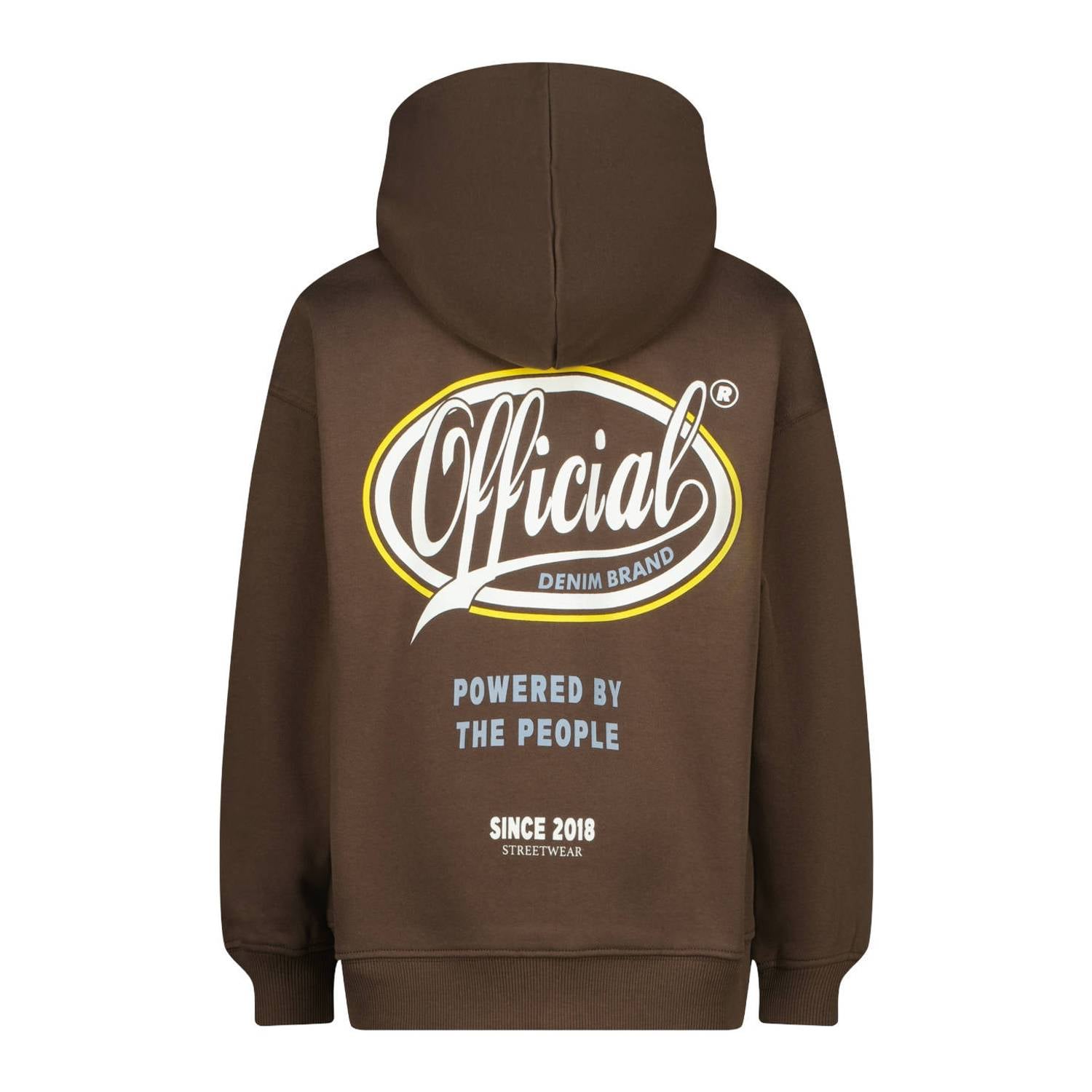 Raizzed oversized hoodie met backprint bruin