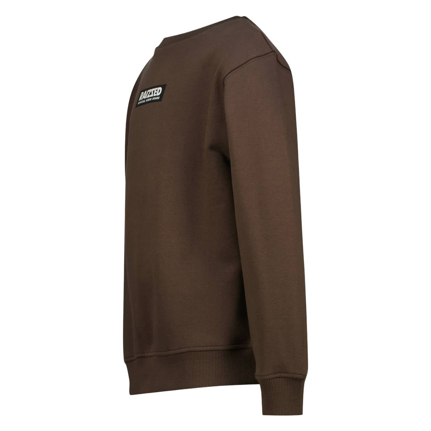 Raizzed rechtvallende sweater met logo bruin