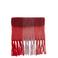 WE Fashion geruite sjaal rood