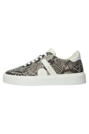 Quartz Auden - El280 Snake Grey - Sneaker (Low)