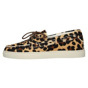 Zircon Aster - Fl704 Leopard - Sneaker (Low)