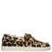 Blackstone Zircon Aster -  Leopard - leren sneaker (low) light brown