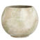 Mica Decorations bloempot Tommy