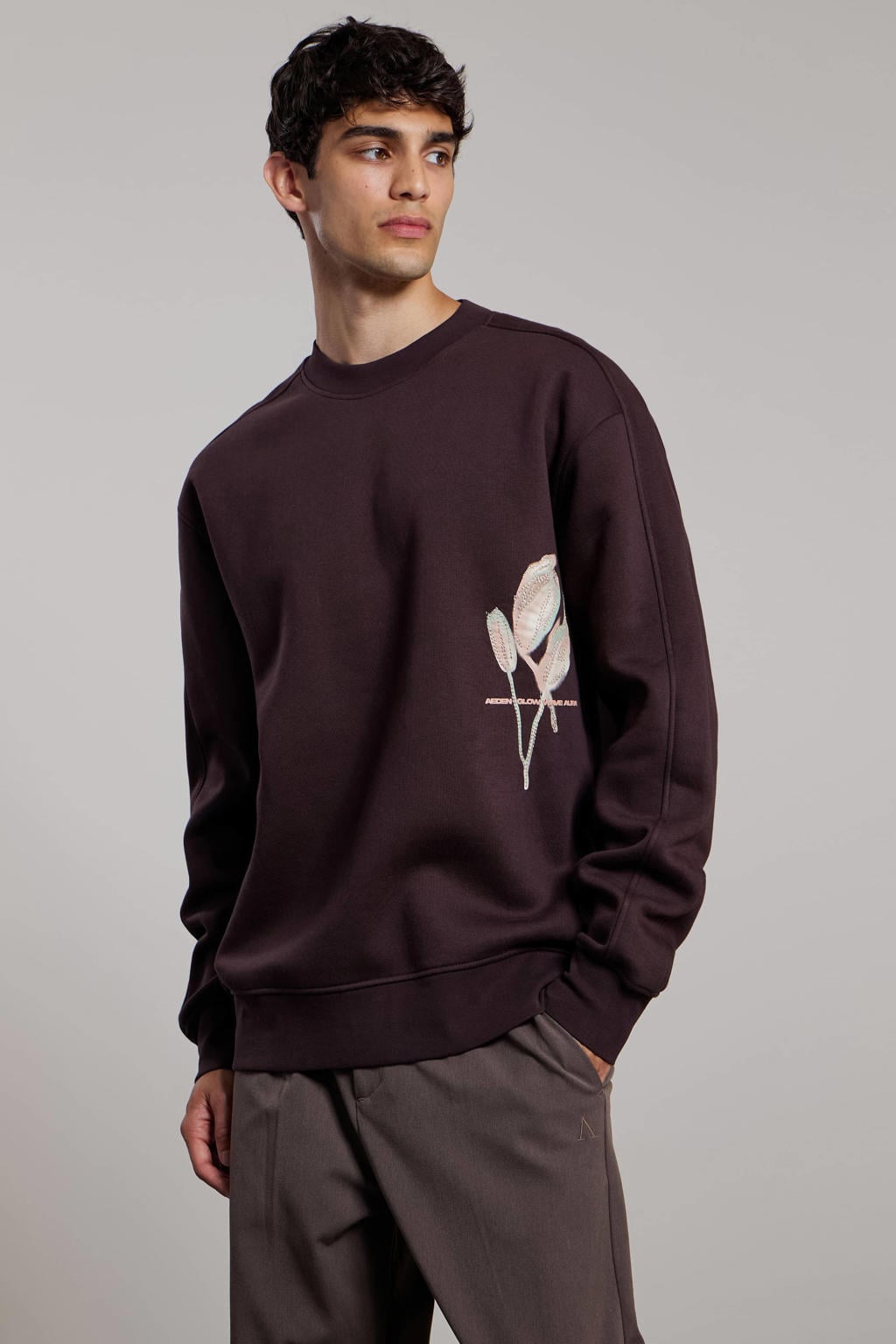 Aeden relaxed fit sweater met print - ganache