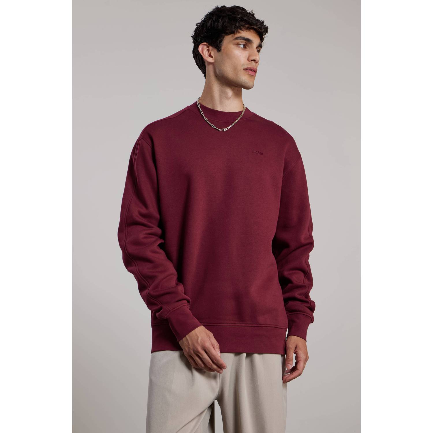 Aeden relaxed fit sweater met backprint bordeaux