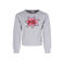 B.Nosy rechtvallende sweater met print - grijs