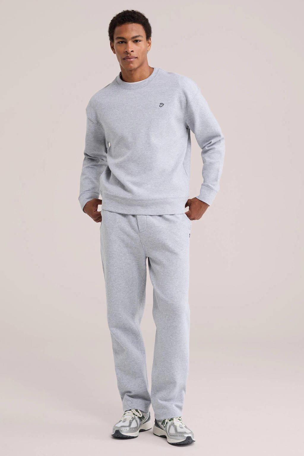 WE Fashion relaxed fit trui met borduursels - light grey