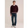 WE Fashion regular fit gebreide gestreepte trui - donkerrood