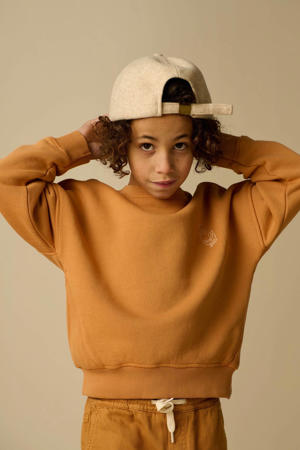 sweater - bruin