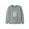 NAME IT KIDS sweater met print - groen