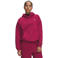 Under Armour Icon hoodie - donkerrood