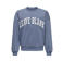 ONLY & SONS JUNIOR sweater met tekst - blauw