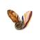 Desigual sjaal met print multi