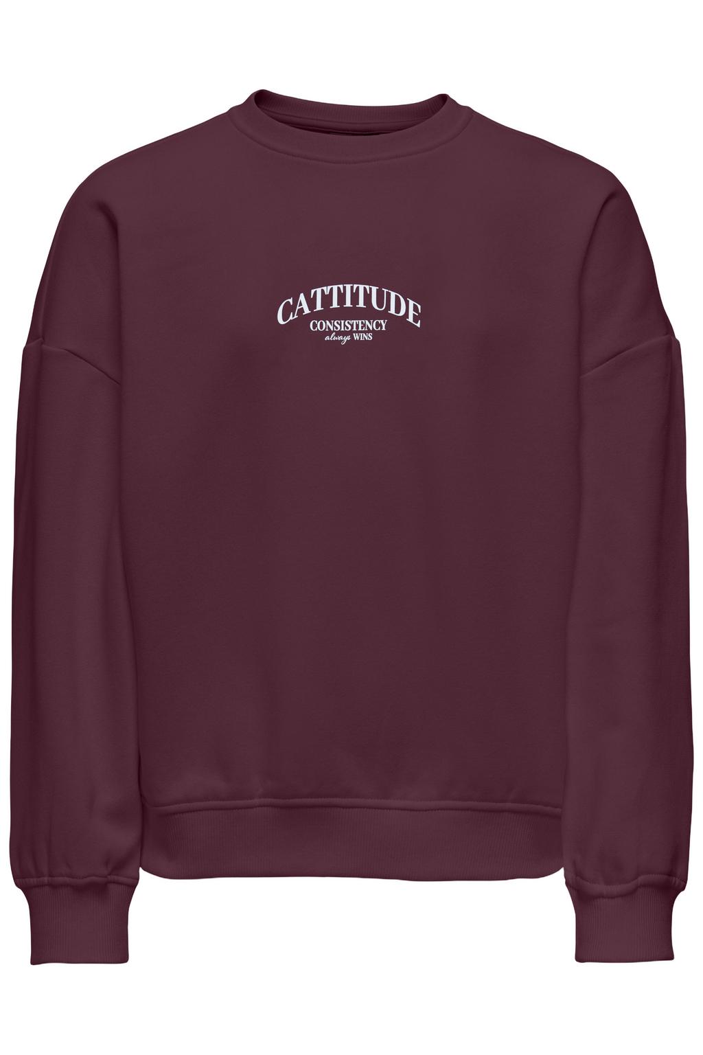 Donkerrode meisjes KIDS ONLY GIRL oversized gebreide sweater van katoen met backprint, lange mouwen en ronde hals