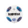 Derbystar voetbal mini - wit/blauw