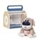 Topbright Care Pets - Dr. Dog