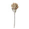 Bloomingville kunstbloem Protea