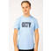 Official Fanwear Manchester City T-Shirt Blauw