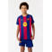 Official Fanwear Frenkie de Jong FC Barcelona Thuis Tenue 25/26  Blauw/Rood
