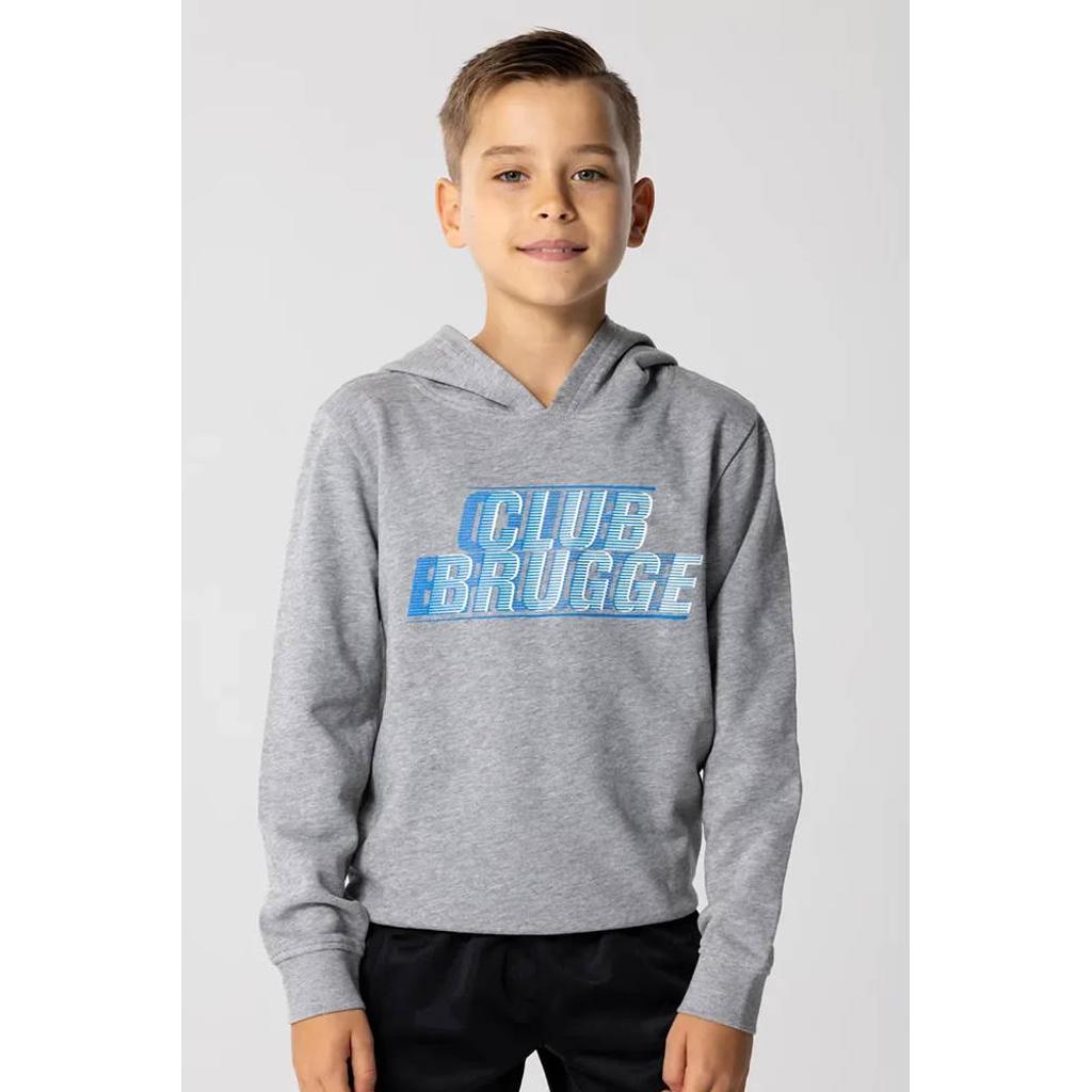 Official Fanwear Club Brugge Hoodie Grijs
