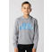 Official Fanwear Club Brugge Hoodie Grijs