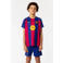 Official Fanwear FC Barcelona Thuis Tenue 25/26 Blauw/Rood