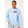 Official Fanwear Manchester City Sweater Blauw