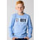 Official Fanwear Manchester City Sweater Blauw