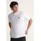 Vans regular fit T-shirt - wit