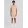 Lyle & Scott regular fit T-shirt - taupe