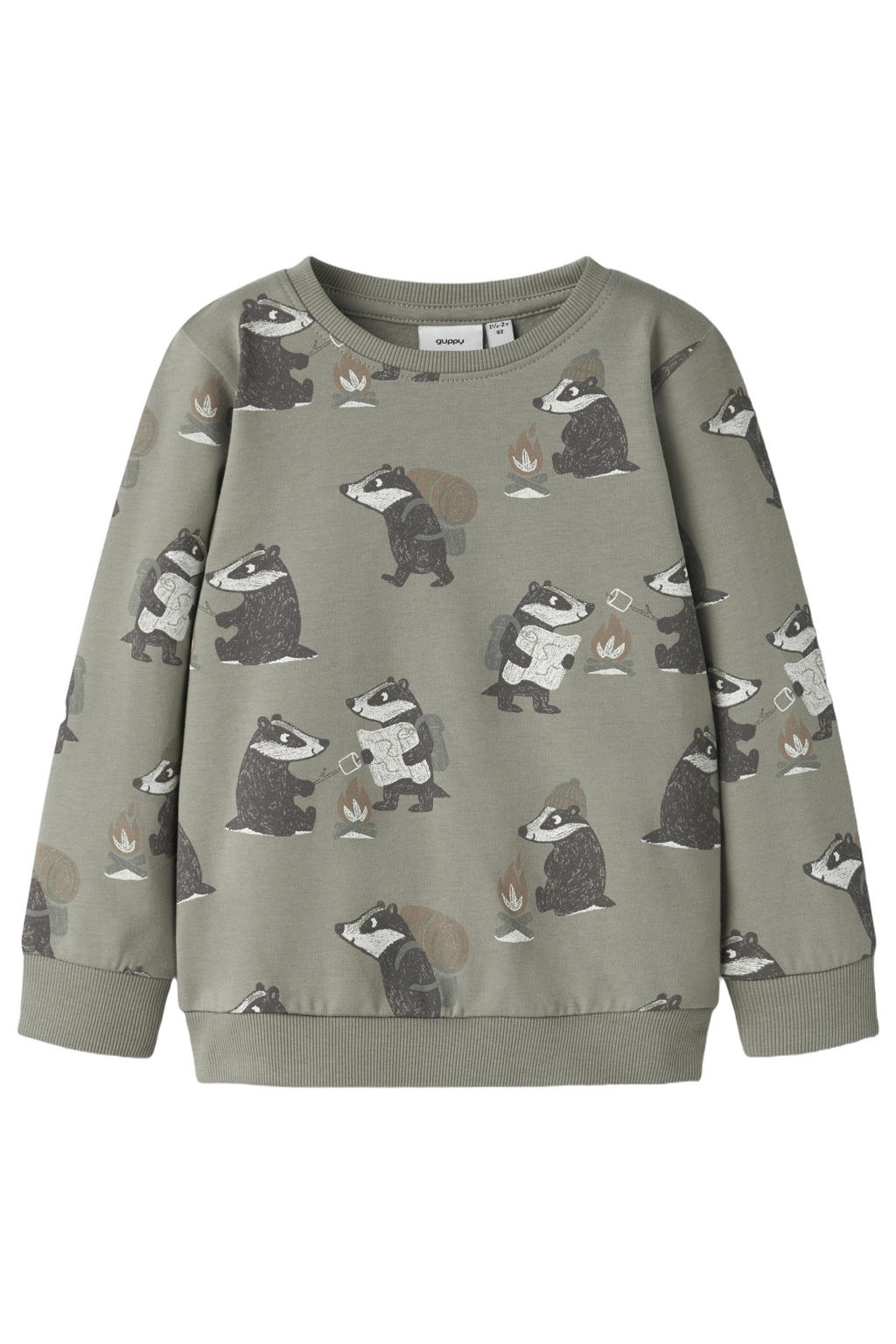 Groene jongens GUPPY MINI sweater met lange mouwen en ronde hals