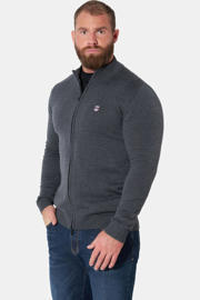 thumbnail: Jan Vanderstorm gebreid vest Plus Size - grijs