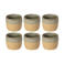 Costa Nova Koffiekopjes Arenito Sage Green 200 ml - 6 stuks