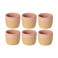 Costa Nova Koffiekopjes Arenito Mauve Rose 200 ml - 6 stuks