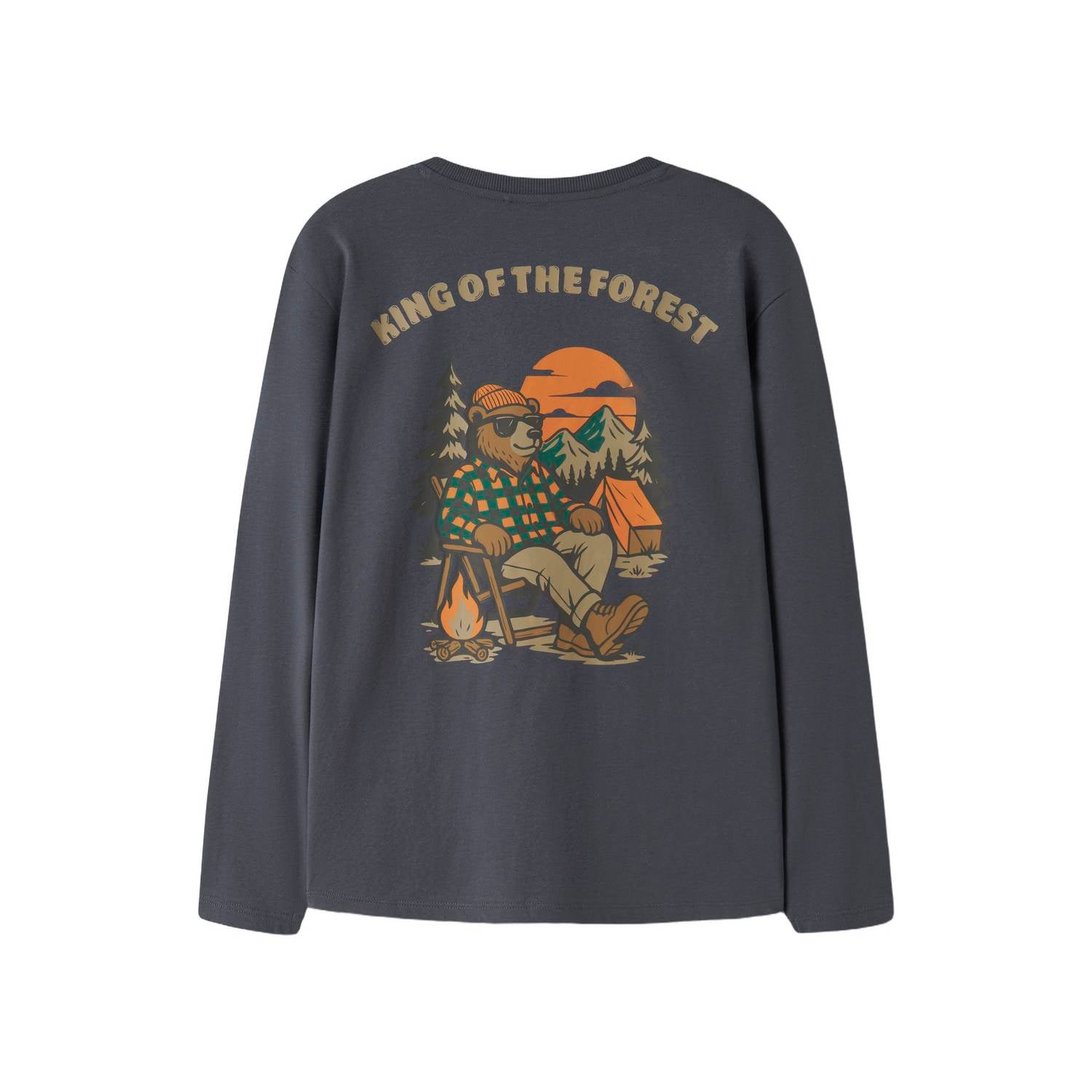 NAME IT KIDS rechtvallende longsleeve met backprint grijsblauw