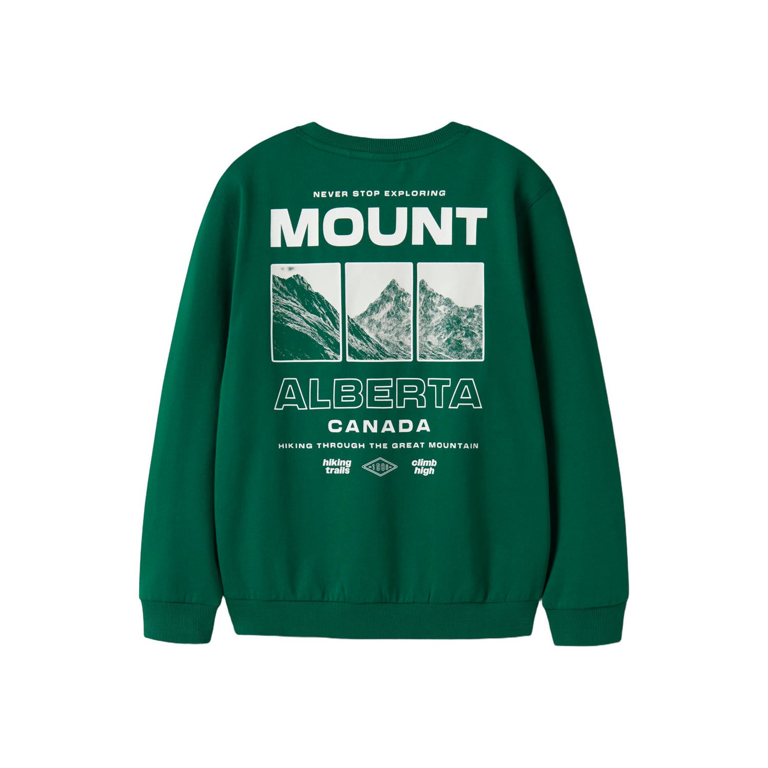 NAME IT KIDS sweater met tekst groen