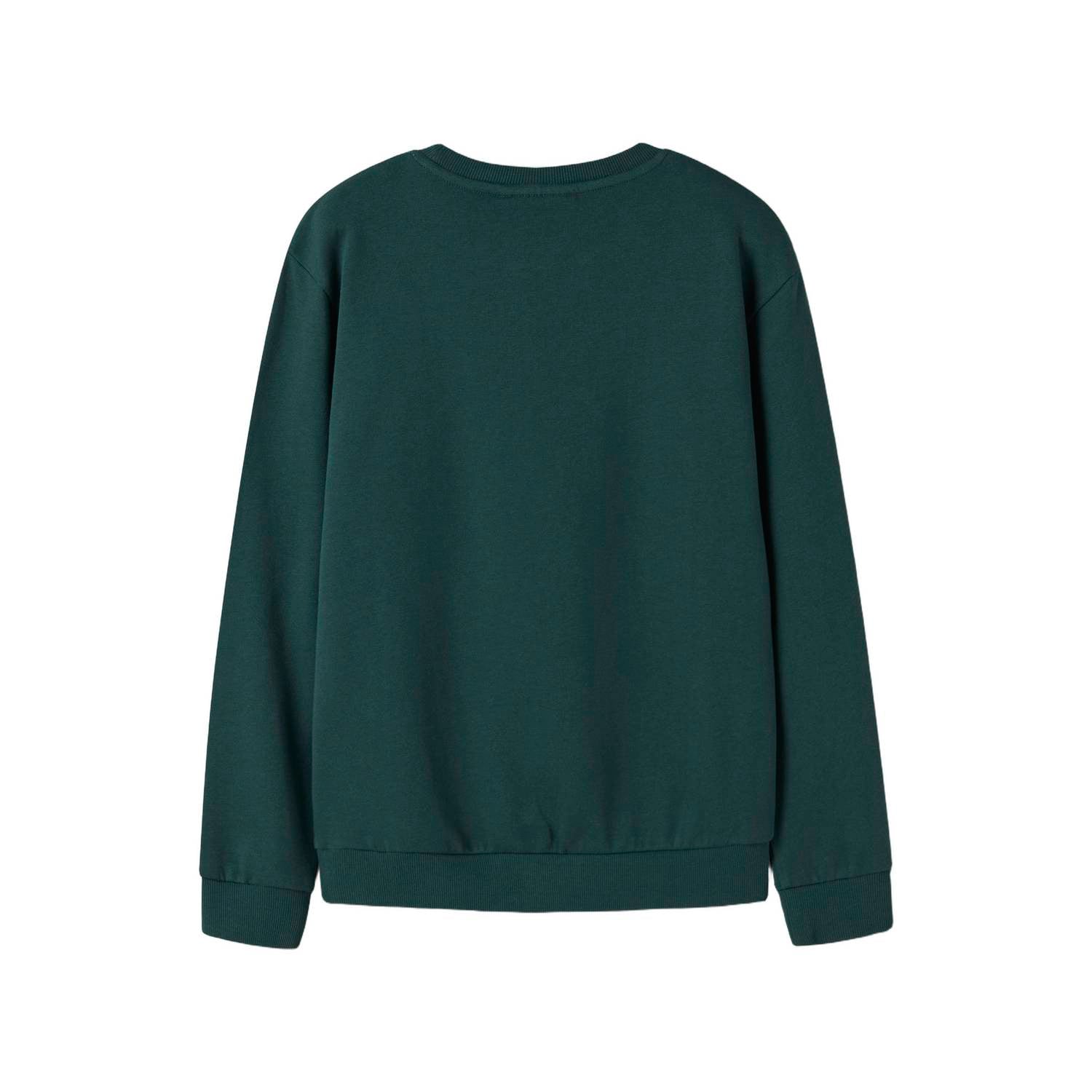 NAME IT KIDS sweater met print groen