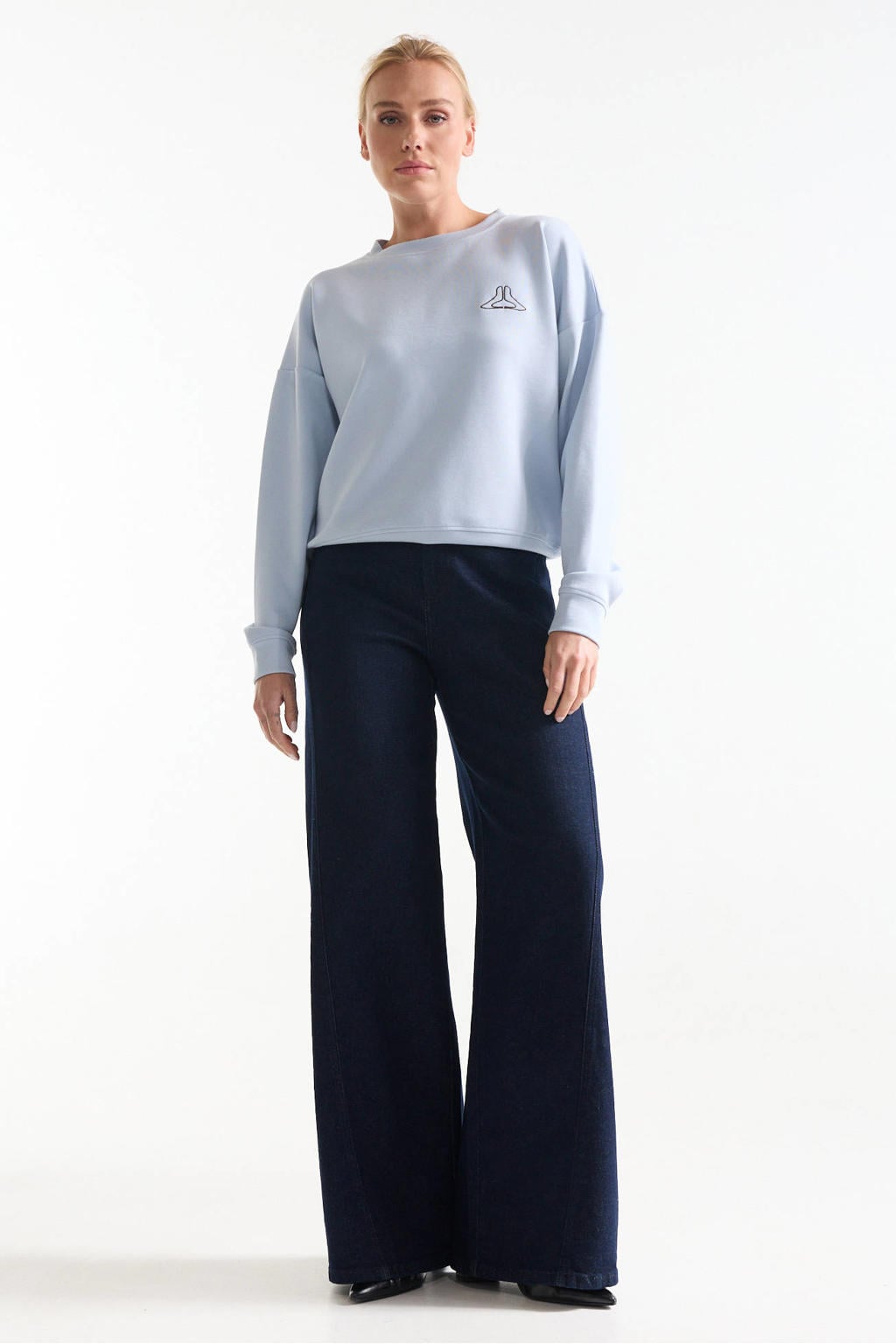 Lichtblauwe dames JANSEN Amsterdam sweater met effen, lange mouwen en ronde hals