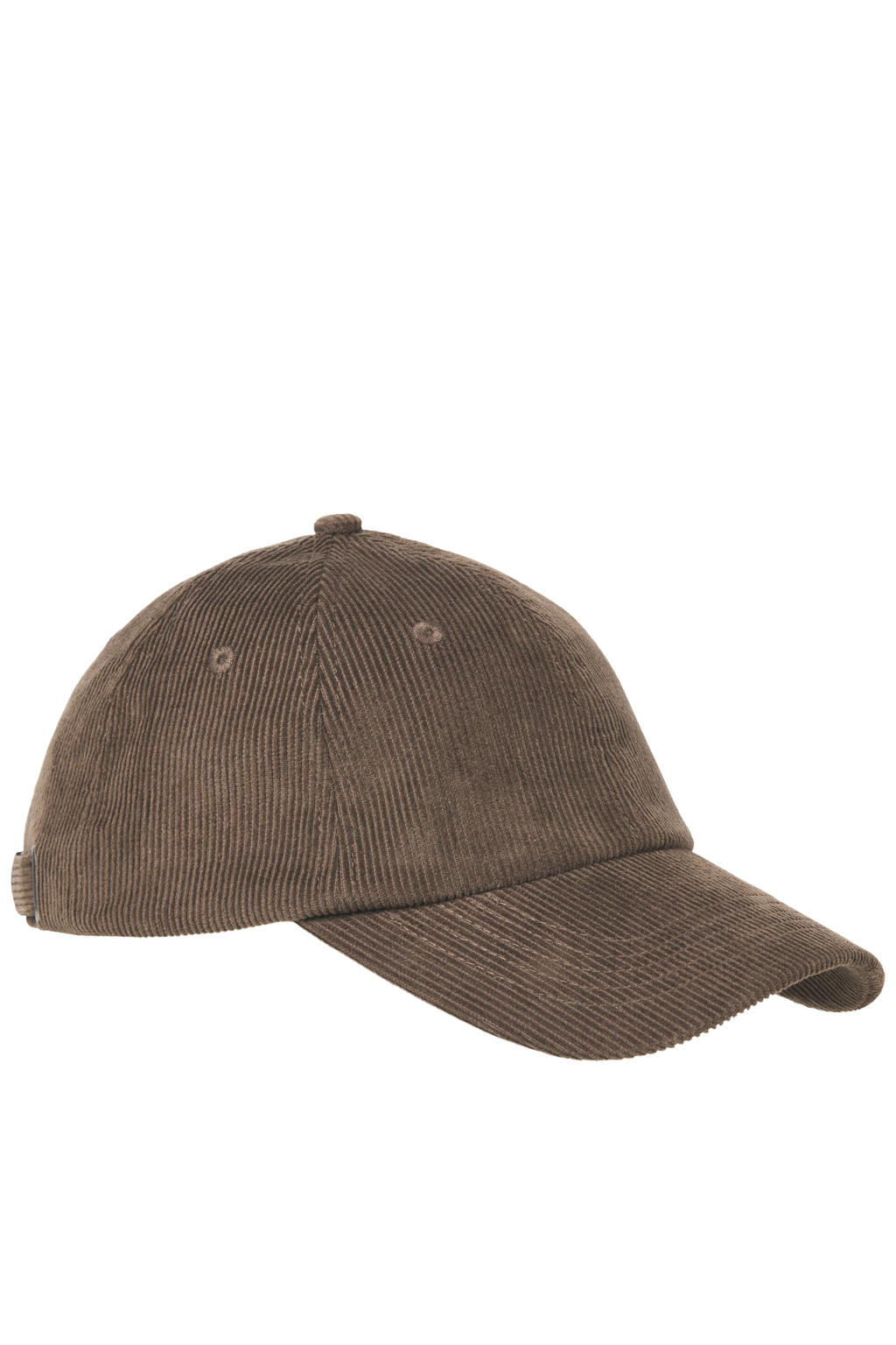 JJXX pet JXBASIC bruin