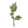 Bloomingville kunsttak Pine