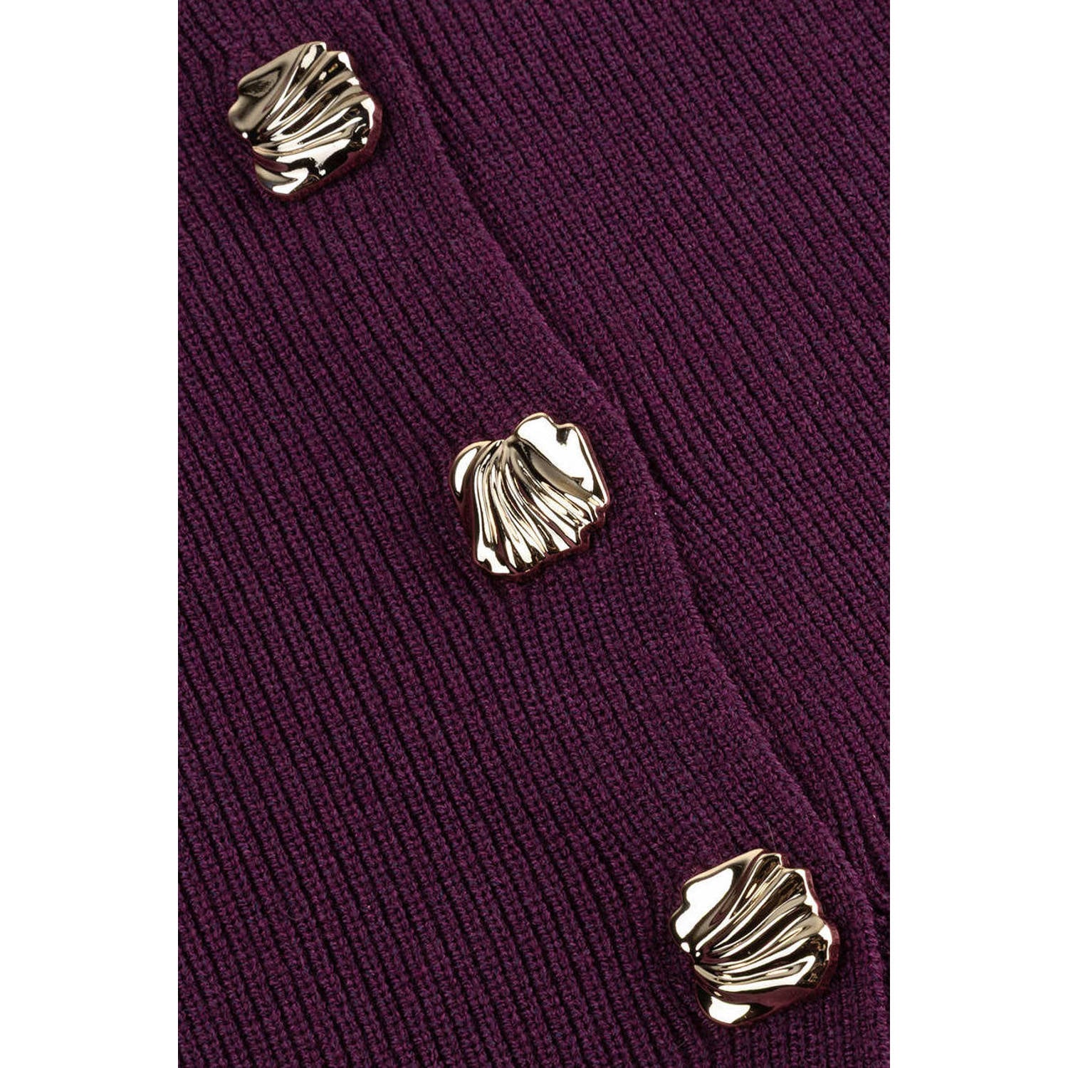 Ydence gebreid vest aubergine