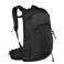 Osprey Osprey Talon 22 black coal grey