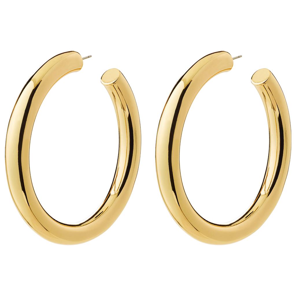 PILGRIM gold plated oorbellen Tovin